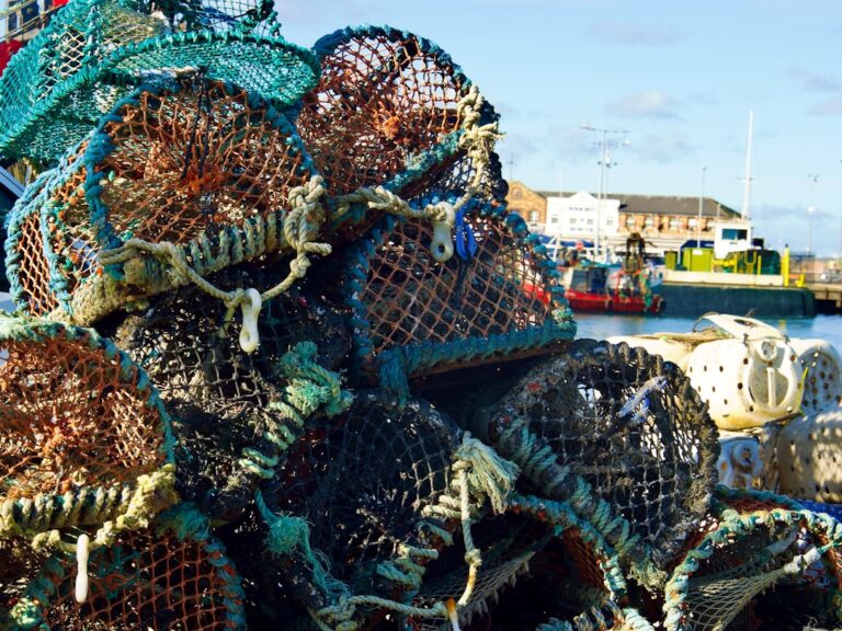 Top Fishing Gear You Need for a Successful Trip