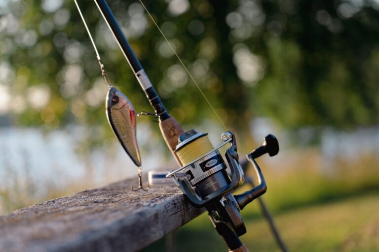 The Best Fishing Accessories to Enhance Your Experience