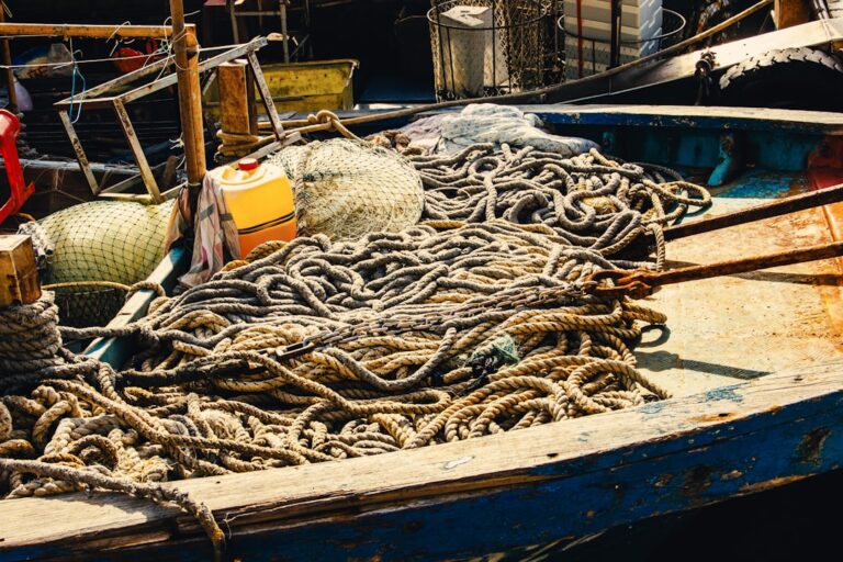 Where to Find Affordable Fishing Gear Online Today